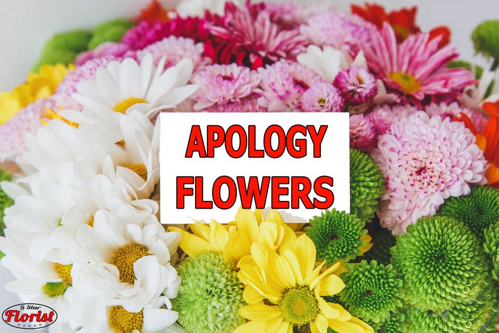 apology flowers columbus